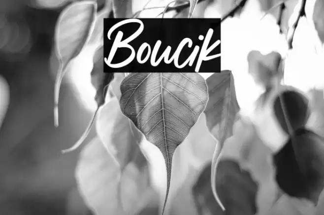 Boucik Font examples