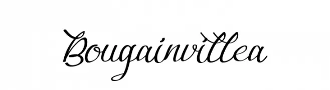 Bougainvillea  Fuentes Gratis Descargar