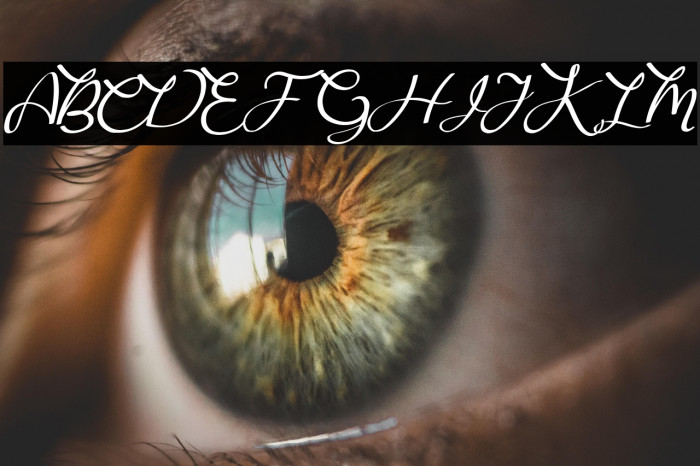 Bougainvillea Example 1