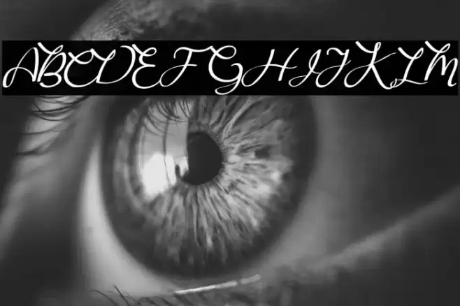 Bougainvillea Font examples