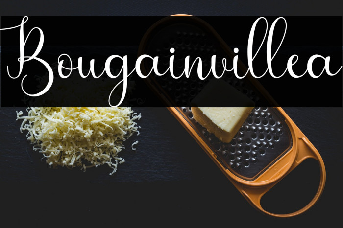 Bougainvillea Example 1