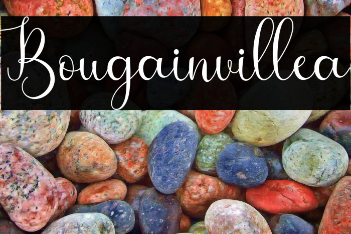Bougainvillea Example 2