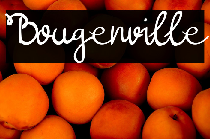 Bougenville Example 1