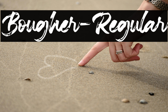 Bougher-Regular Example 1