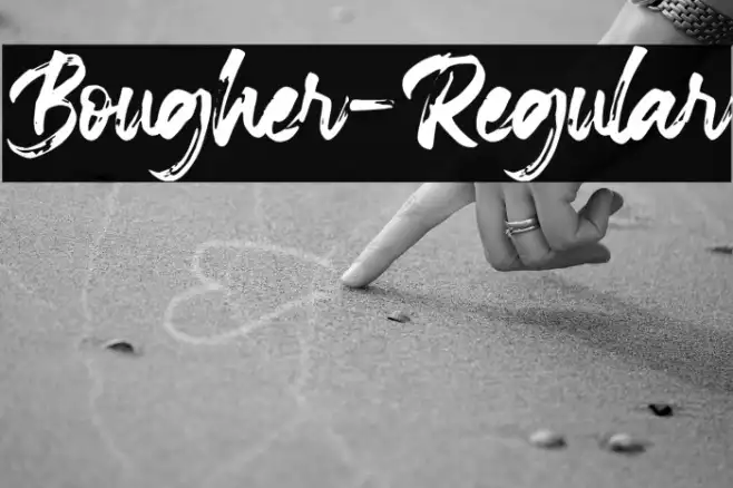 Bougher-Regular Example 1