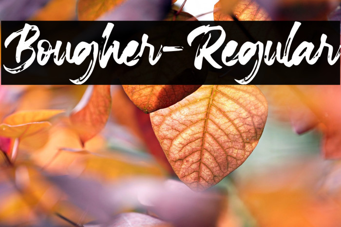 Bougher-Regular Example 2