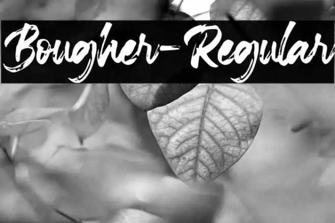 Bougher-Regular Example 2
