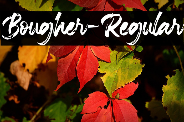 Bougher-Regular Example 3