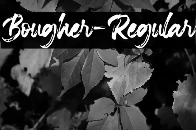 Bougher-Regular Example 3