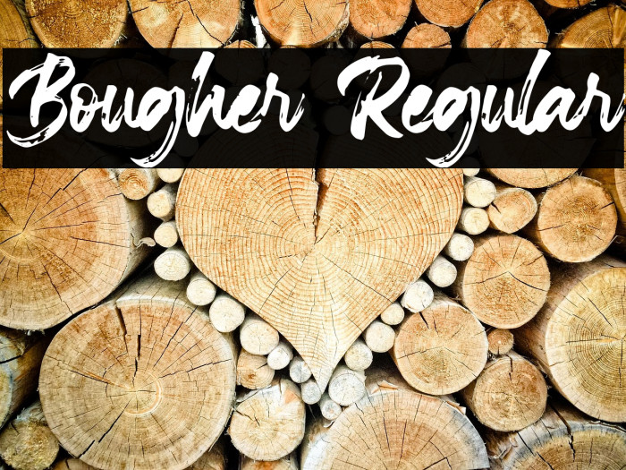Bougher Regular Example 1