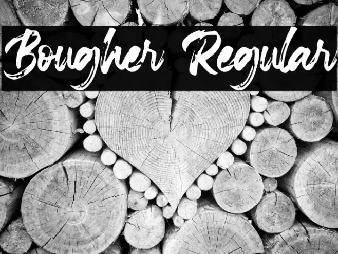 Bougher Regular Font examples