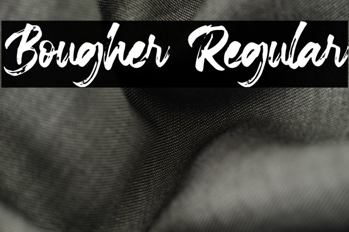 Bougher Regular Example 2