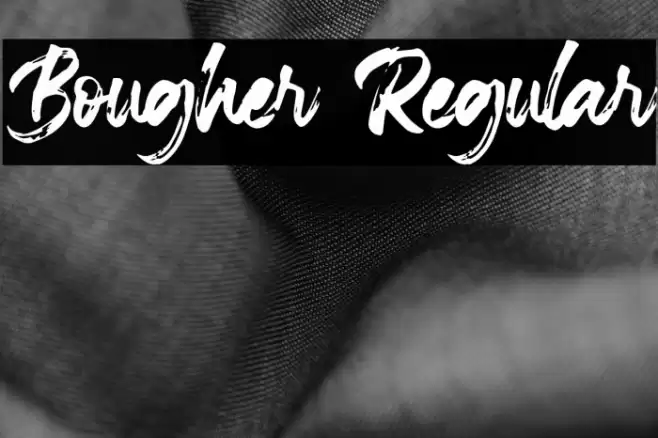 Bougher Regular Font examples