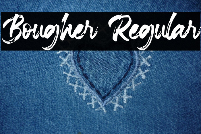 Bougher Regular Example 3