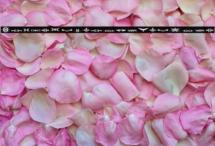 Bougy_PersonalUseOnly Example 2