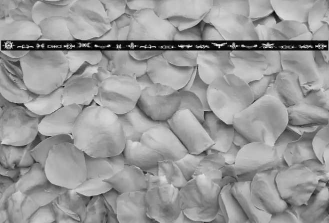 Bougy_PersonalUseOnly フォント examples