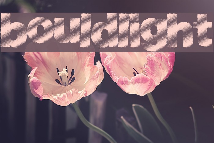 BouldLight Font examples