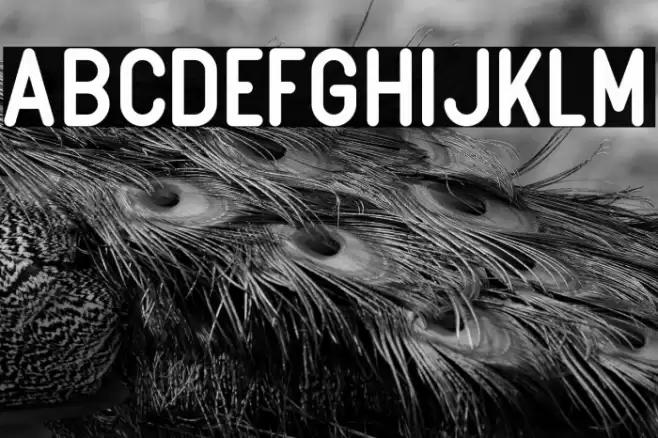 Boulder Font examples