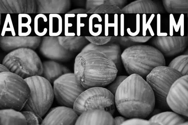 Boulder Font examples