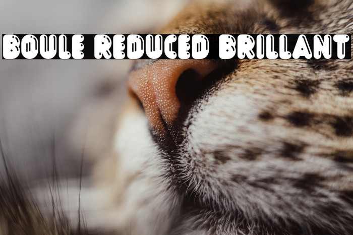 Boule Reduced Brillant Example 1