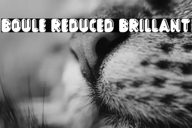 Boule Reduced Brillant Font examples