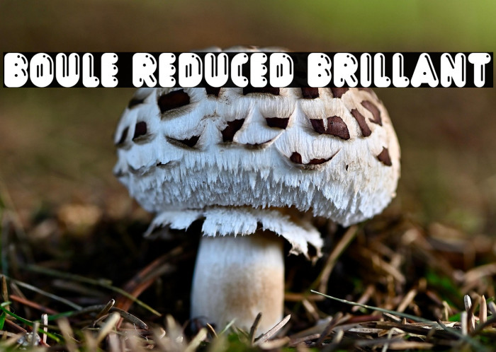 Boule Reduced Brillant Example 2