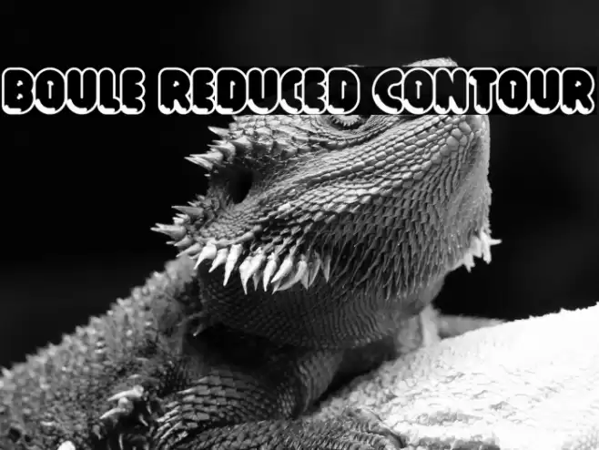 Boule Reduced Contour Font examples