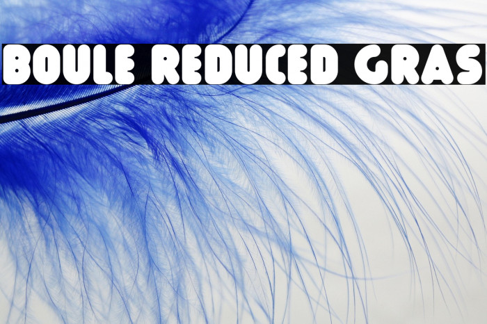 Boule Reduced Gras Example 1