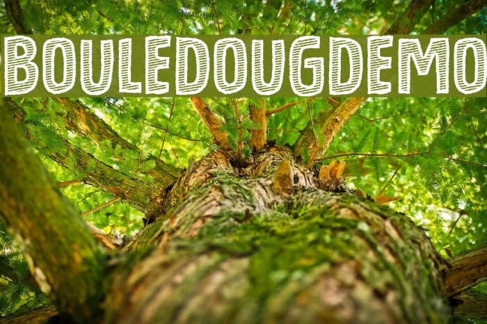 BouledougDEMO Font examples