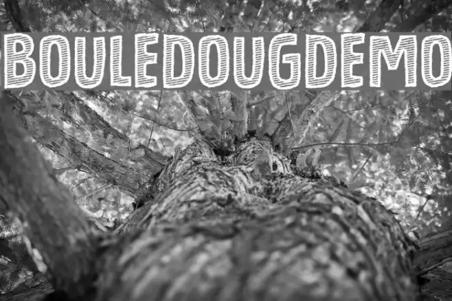 BouledougDEMO Example 1