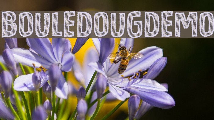 BouledougDEMO Font examples