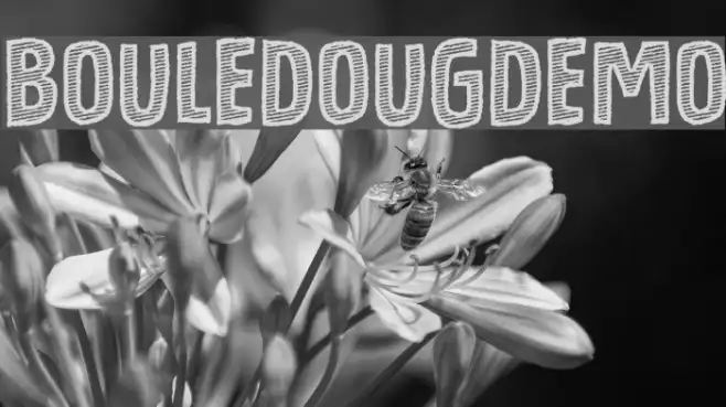 BouledougDEMO Example 2