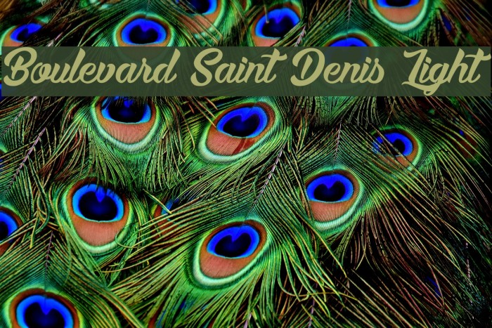 Boulevard Saint Denis Light Polices examples