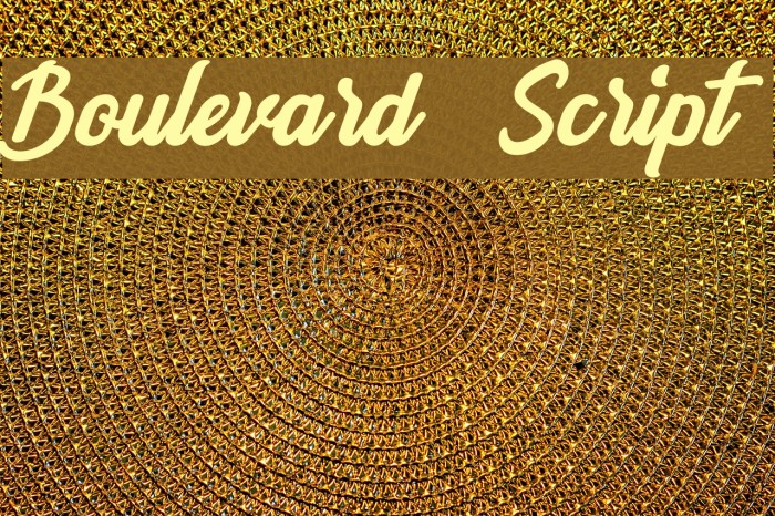 Boulevard Script Font examples