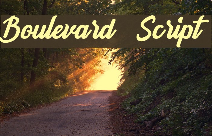 Boulevard Script Font examples