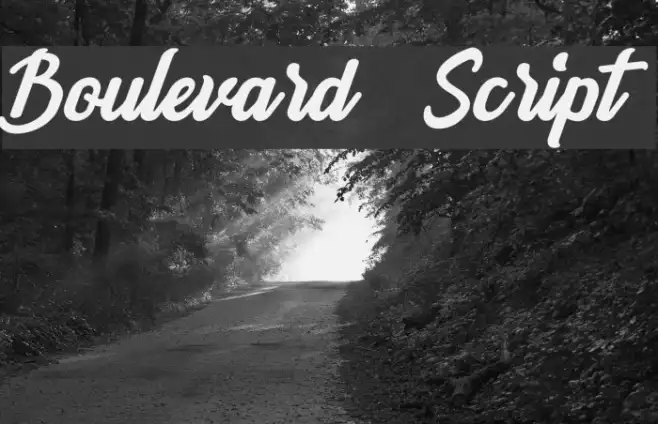 Boulevard Script Example 3