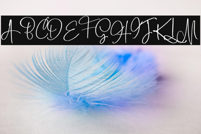 BoulevardScriptDEMO-Regular Example 2