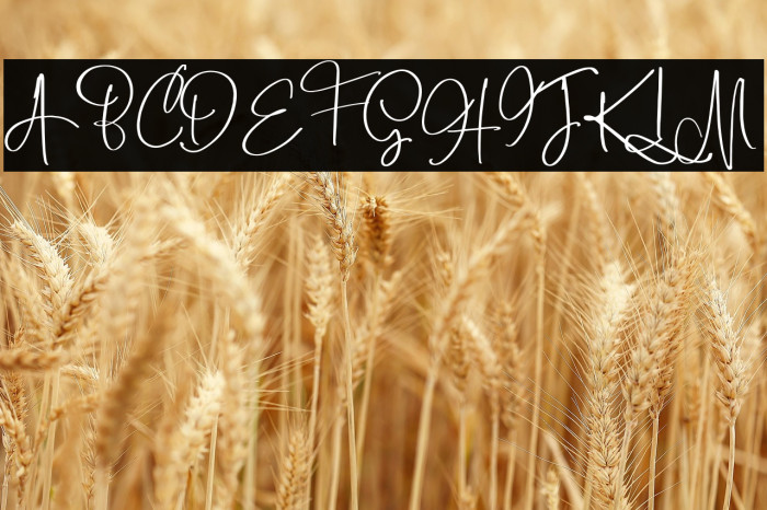 BoulevardScriptDEMO-Regular Example 3