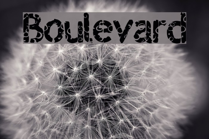 Boulevard Schriftart examples