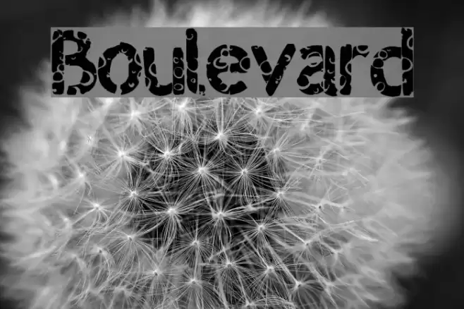 Boulevard Font examples