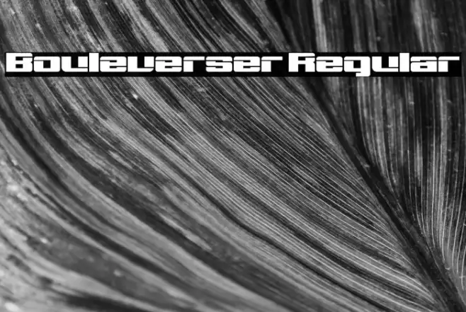 Bouleverser Regular Example 3