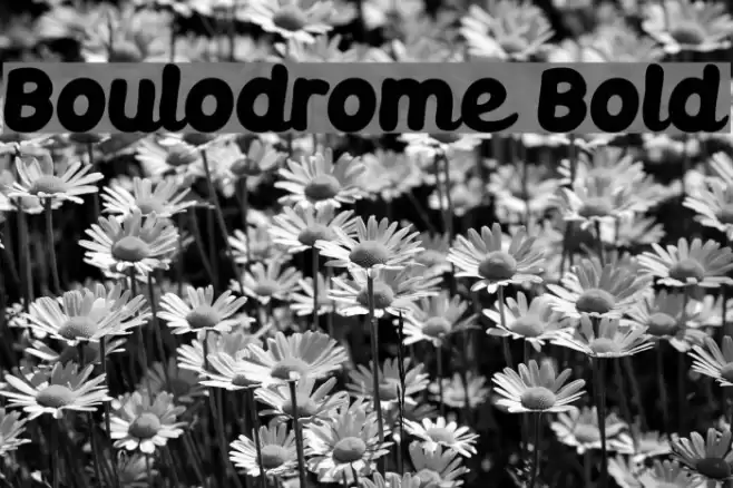 Boulodrome Bold examples