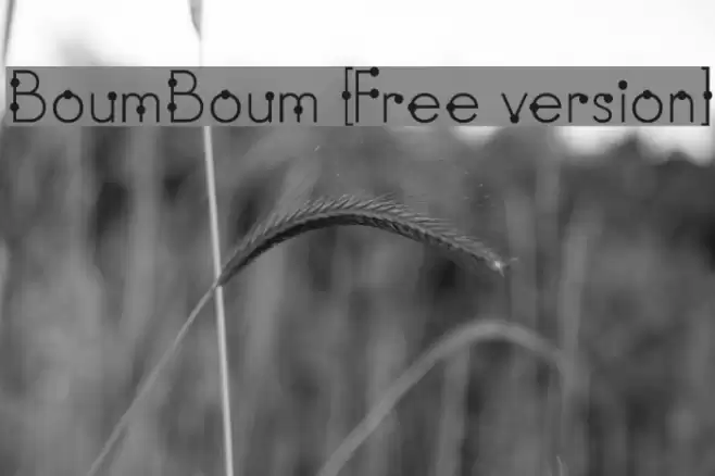 BoumBoum [Free version] フォント examples