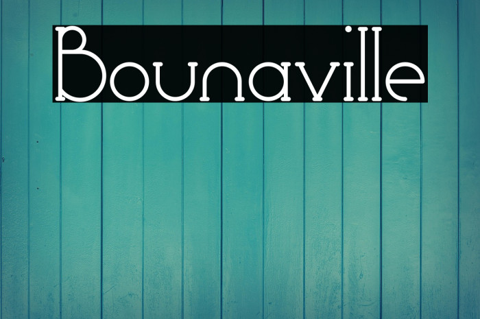 Bounaville Example 1