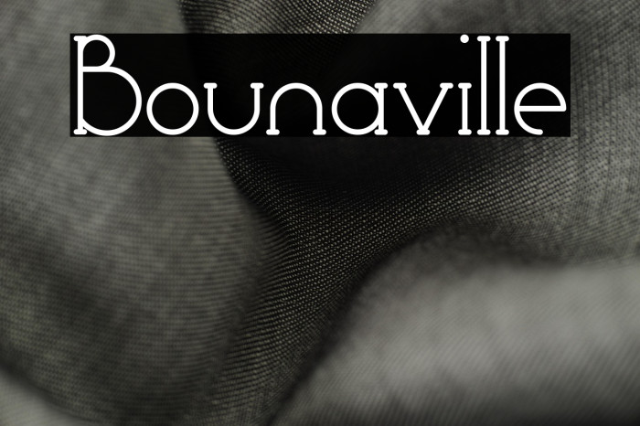 Bounaville Example 3