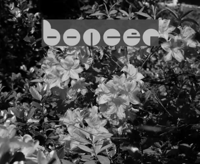 Bouncer Font examples