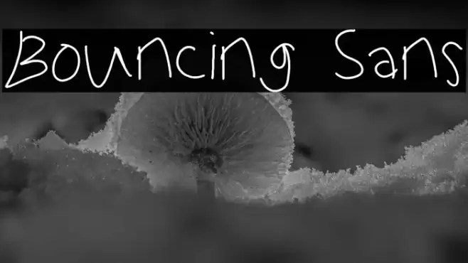 Bouncing Sans  examples