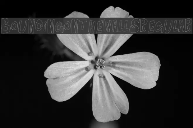 BouncingontheWalls-Regular Font examples