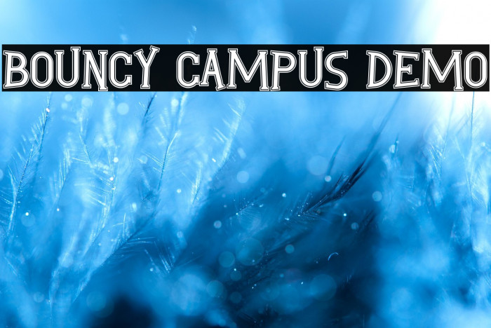 Bouncy Campus Demo Example 1