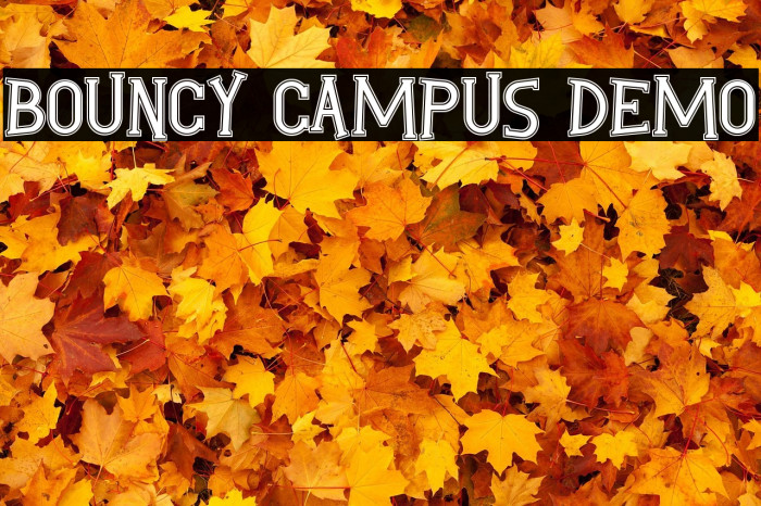 Bouncy Campus Demo Example 2